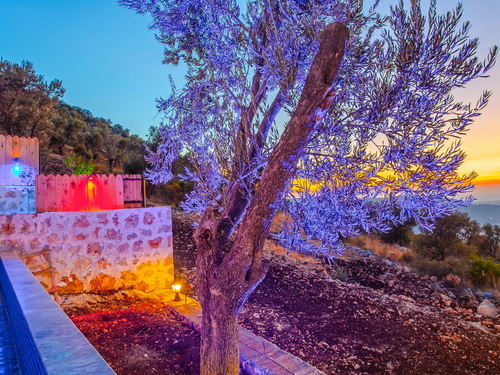  gece  -  Kasım
  | Kalkan Yeşilköy Villa (4 Kişilik, Özel Havuzlu, Doğa İçinde, Jakuzili Seçenekli)